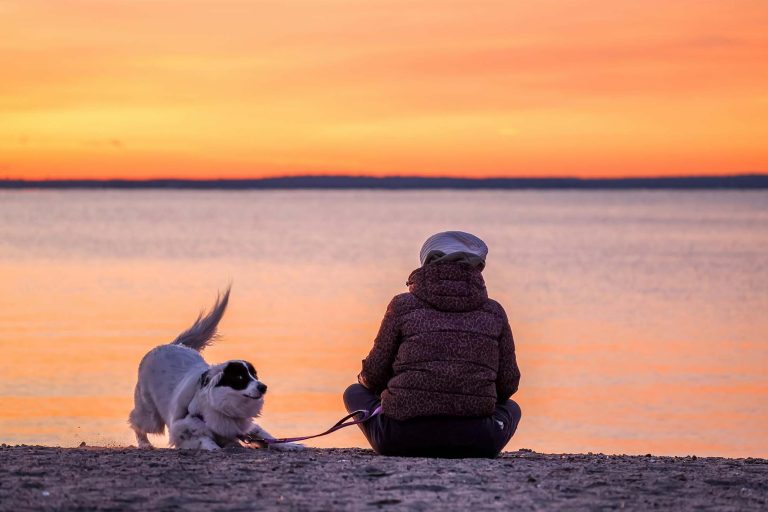 How to Handle Leash Reactivity During Busy Summer Walks