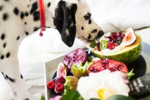 Summer Foods for Dogs