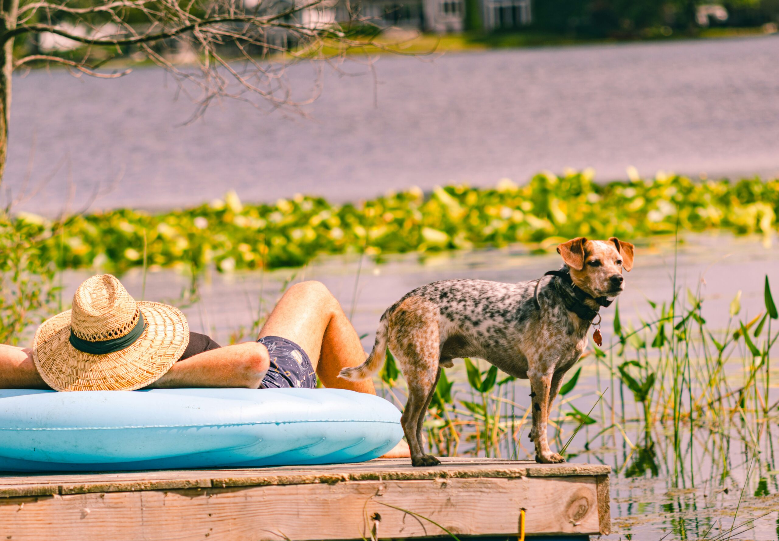Beat the Heat: Signs of Overheating and How to Prevent It
