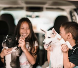 Training Tips for Families With Kids and Dogs