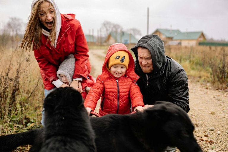 Back-2-School: Smooth Transitions for a Happy, Confident Dog