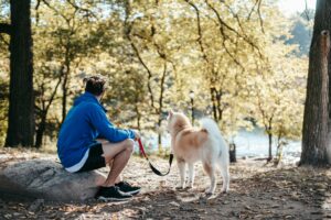 Mastering Loose Leash Walking Before Fall Adventures Begin