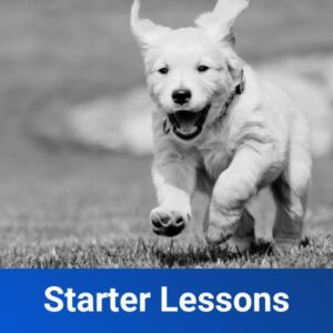 Starter Lesson