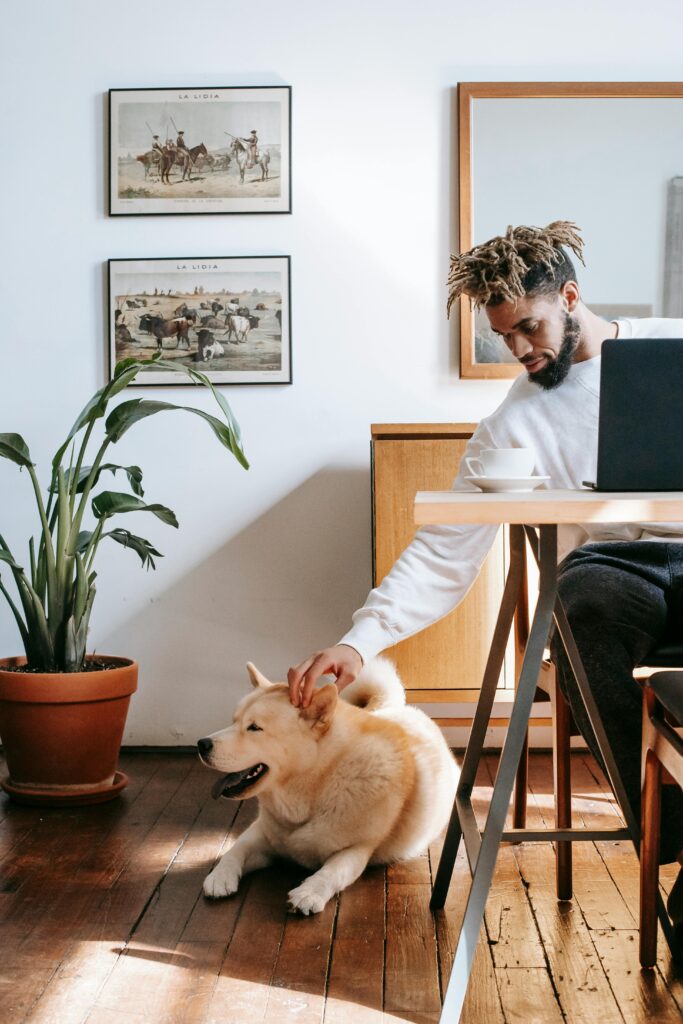 Busy Dog Owners: Proven Ways to Reinforce Training 