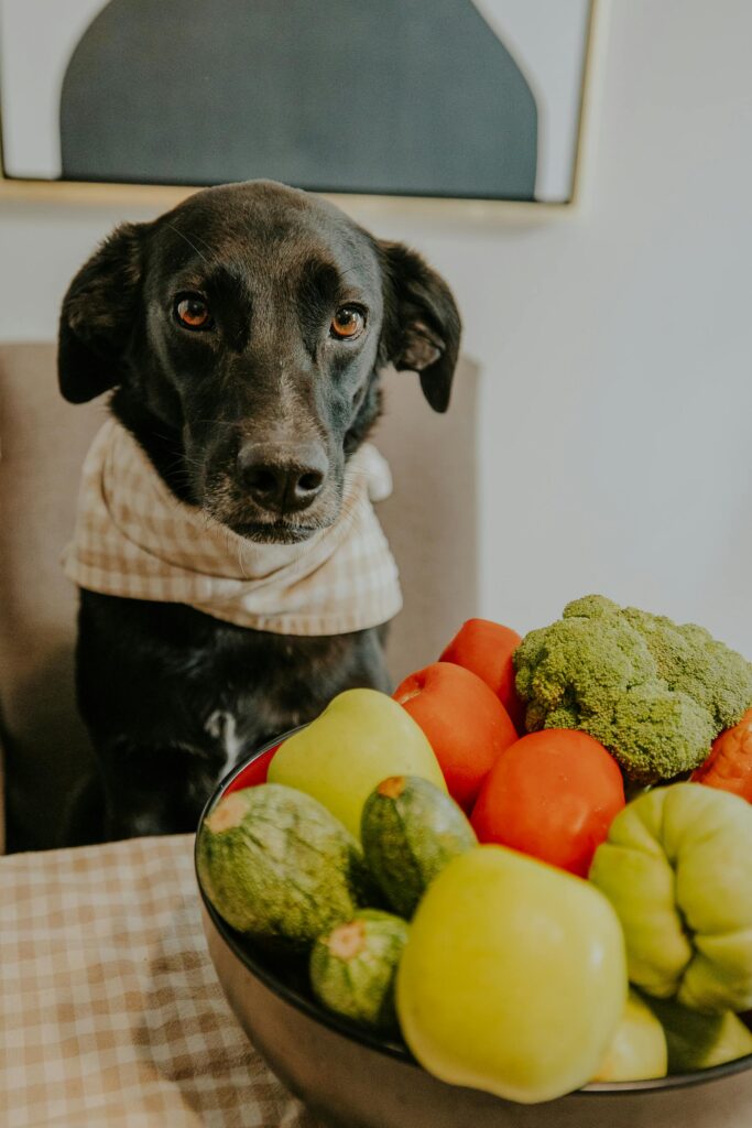 Thanksgiving Table Rules for Dogs: For a Happy Holiday