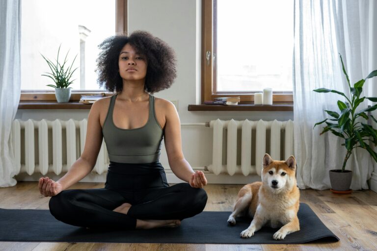 The Complete New Year’s Guide to Successful Training for Your Dog in 2026
