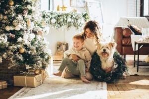 Holiday Hazards: Dangerous Foods, Decorations, and More