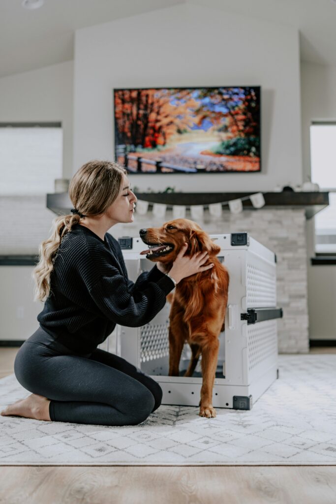 The Gift of Training: Why Obedience Makes the Perfect Present