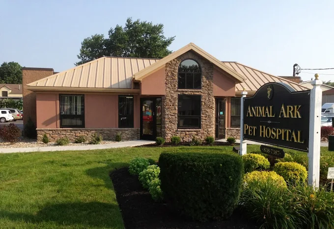 What Your Dog’s Wellness Exam Reveals About Their Training Progress